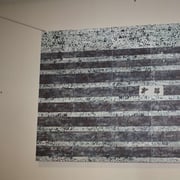 Img 8086